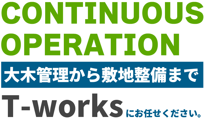 大木管理から敷地整備まで一貫作業