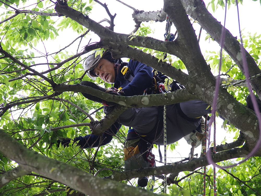 過酷な状況でも安心安全作業