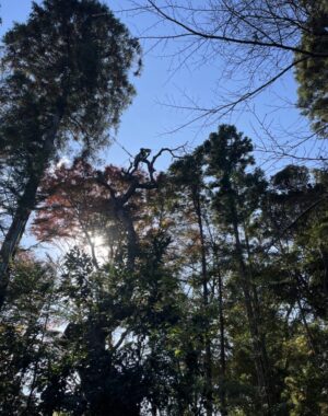 四街道熊野神社