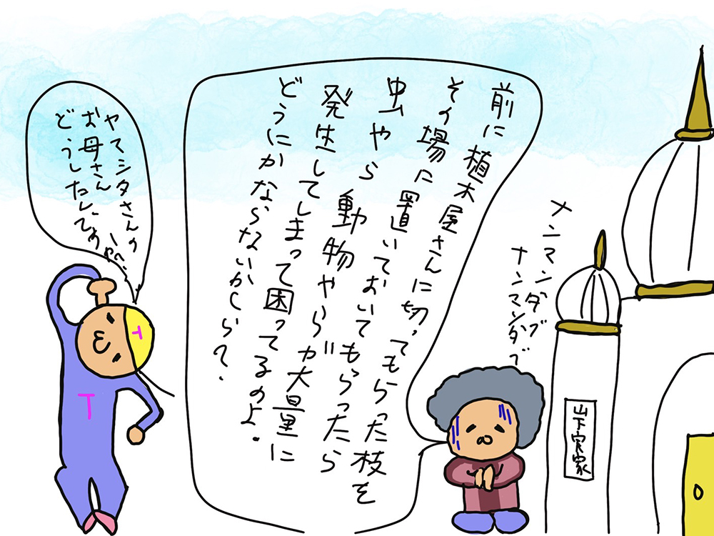 50f9c9a2-19c1-431a-a1fe-a91cedd0f4bf 50f9c9a2-19c1-431a-a1fe-a91cedd0f4bf