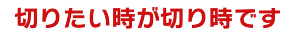 subtitle002