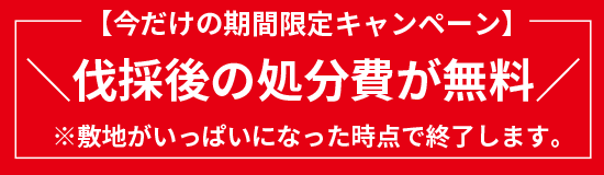 伐採後の処分費が無料！