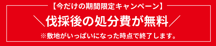 伐採後の処分費が無料！