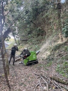 佐倉市役所文化課様からのご依頼(作業内容:本佐倉城跡危険木伐採) 佐倉市役所文化課様からのご依頼(作業内容:本佐倉城跡危険木伐採)