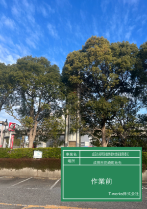 成田市役所様から伐採のご依頼 成田市役所様から伐採のご依頼