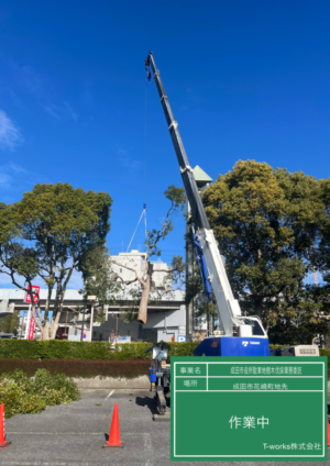 成田市役所様から伐採のご依頼 成田市役所様から伐採のご依頼