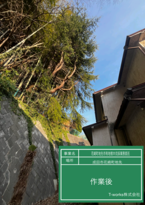 成田市役所様からのご依頼 成田市役所様からのご依頼