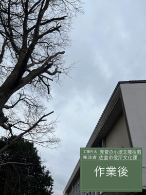 佐倉市役所文化課様からのご依頼(作業内容:青菅の小塚、支障枝剪定) 佐倉市役所文化課様からのご依頼(作業内容:青菅の小塚、支障枝剪定)