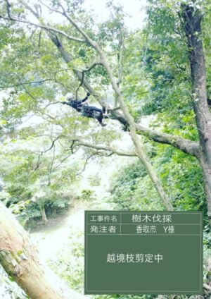 20~30m×7本 20~30m×7本