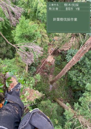 20~30m×7本 20~30m×7本