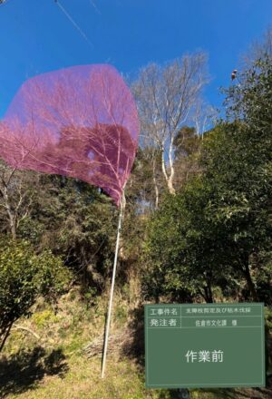 「樹高」12m、15m(斜面2本) 「樹高」12m、15m(斜面2本)