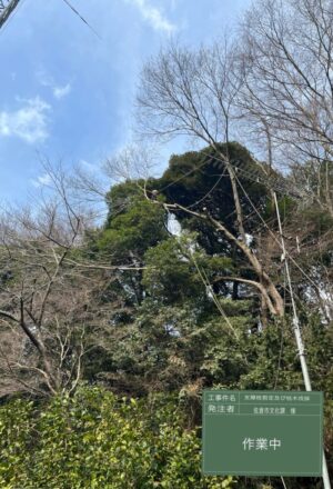 「樹高」12m、15m(斜面2本) 「樹高」12m、15m(斜面2本)