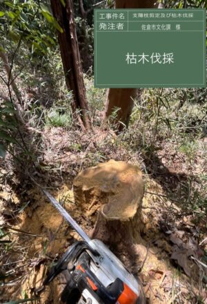 「樹高」12m、15m(斜面2本) 「樹高」12m、15m(斜面2本)