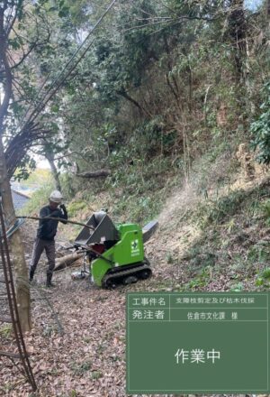 「樹高」12m、15m(斜面2本) 「樹高」12m、15m(斜面2本)