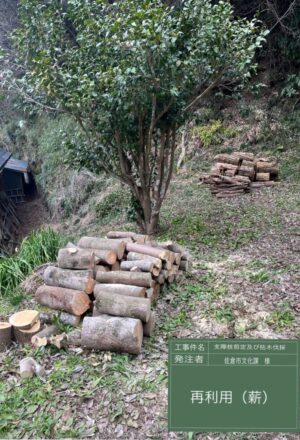 「樹高」12m、15m(斜面2本) 「樹高」12m、15m(斜面2本)