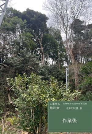「樹高」12m、15m(斜面2本) 「樹高」12m、15m(斜面2本)