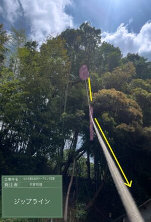 「樹高」15m（急斜面）