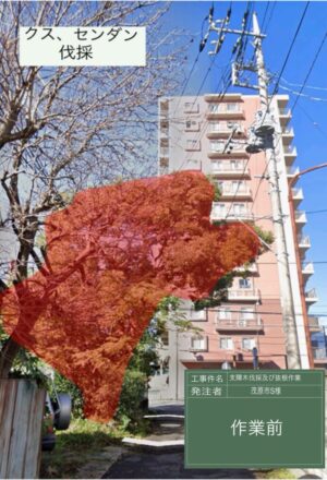 5~17m×5本、【抜根】大木を含め10本 5~17m×5本、【抜根】大木を含め10本