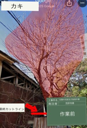 5~17m×5本、【抜根】大木を含め10本 5~17m×5本、【抜根】大木を含め10本