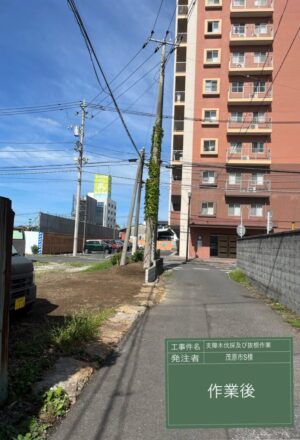 5~17m×5本、【抜根】大木を含め10本 5~17m×5本、【抜根】大木を含め10本