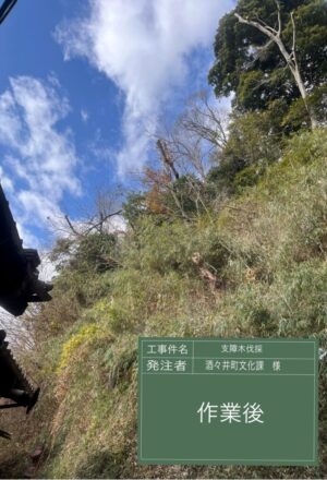 「樹高」6～15m×6本（斜面）