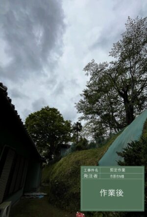 「樹高」14m×2本(斜面) 「樹高」14m×2本(斜面)
