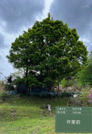 「樹高」14m×2本(斜面) 「樹高」14m×2本(斜面)