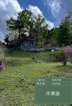 「樹高」14m×2本(斜面) 「樹高」14m×2本(斜面)