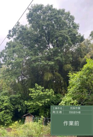 27~30m×3本(斜面) 27~30m×3本(斜面)