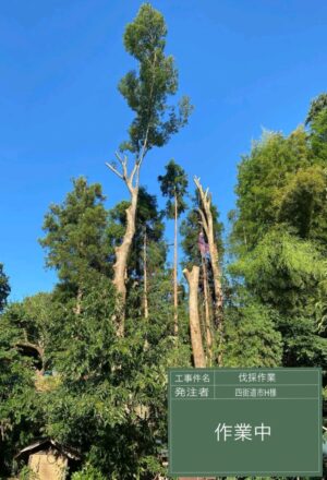 27~30m×3本(斜面) 27~30m×3本(斜面)