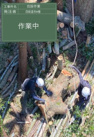 27~30m×3本(斜面) 27~30m×3本(斜面)