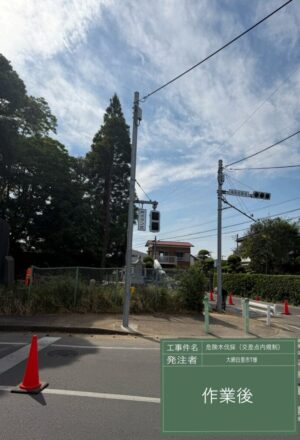 「樹高」15m(交差点内) 「樹高」15m(交差点内)